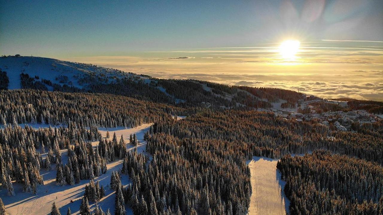 Ski & Spa Apartment S20 Milmari Resort コパオニク エクステリア 写真