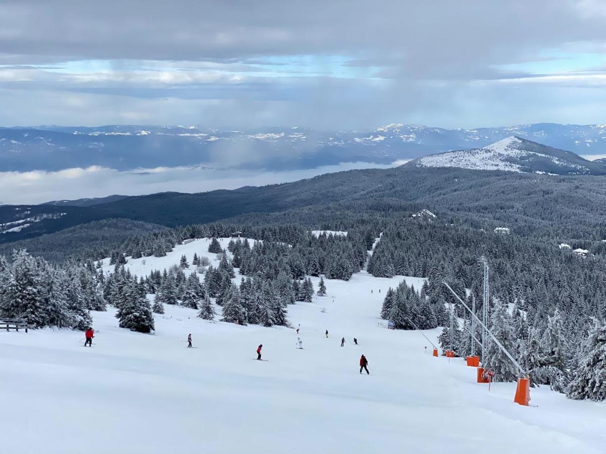 Ski & Spa Apartment S20 Milmari Resort コパオニク エクステリア 写真